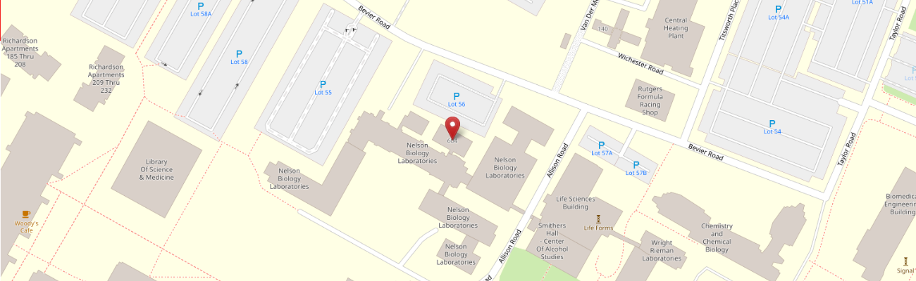 Main office: Nelson Biological Laboratories, Room A207, 604 Allison Road, Piscataway, NJ 08854-8082
